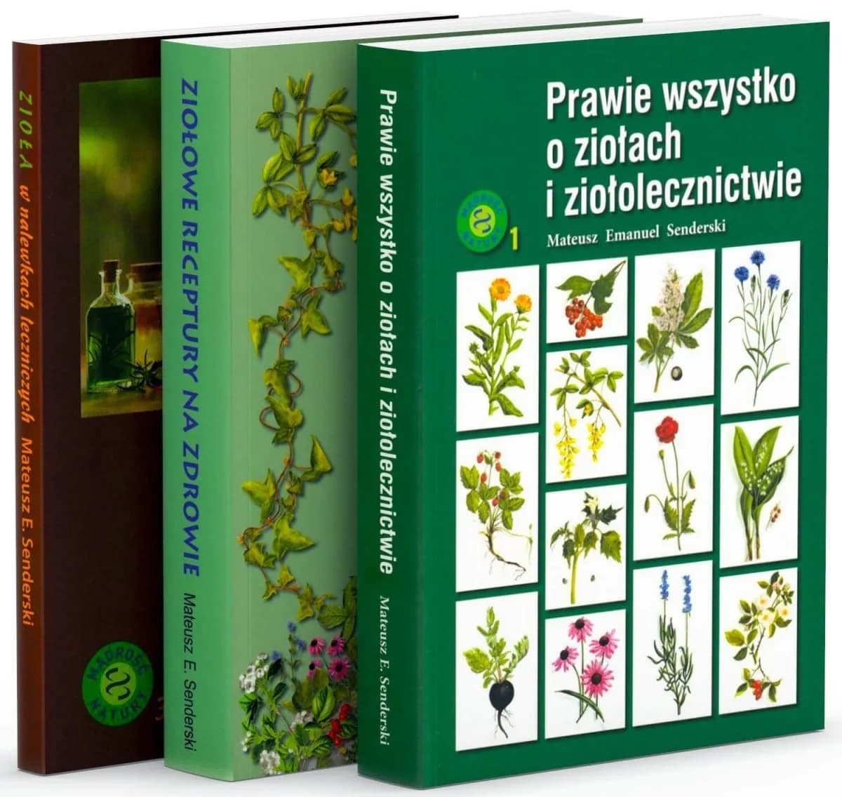 Najlepsza książka o ziołach – jak wybrać i uniknąć błędów w ziołolecznictwie