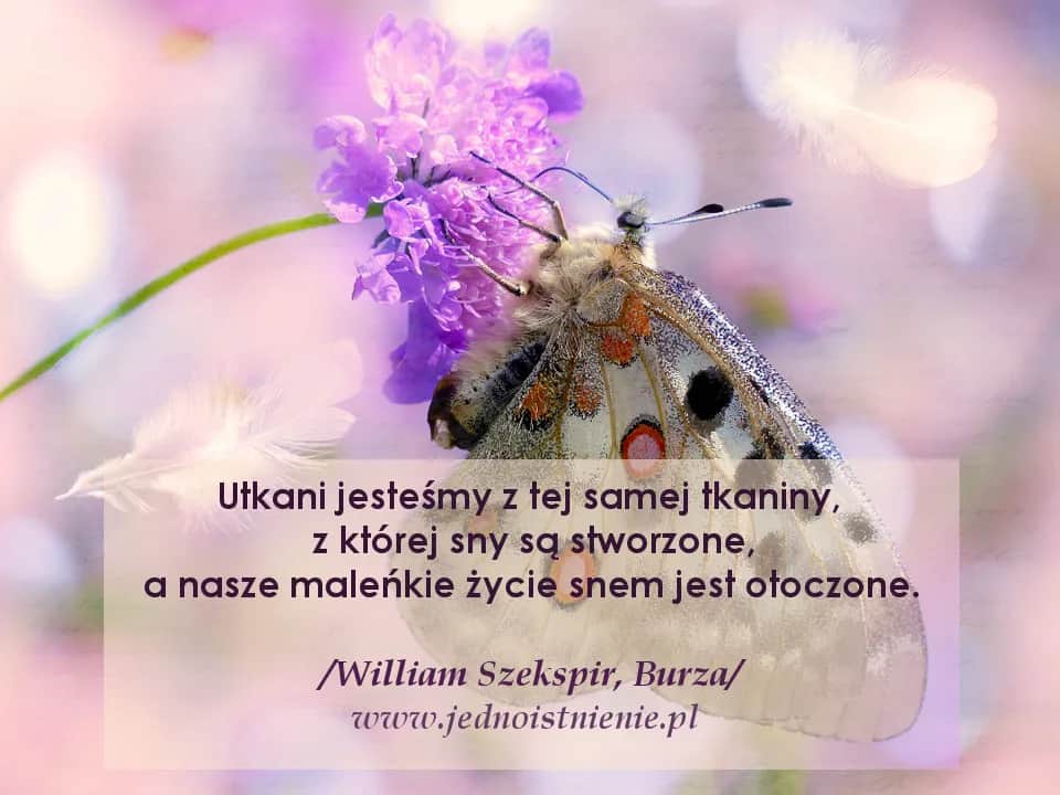 Co tracimy w cytatach i jak uniknąć utraty ich znaczenia