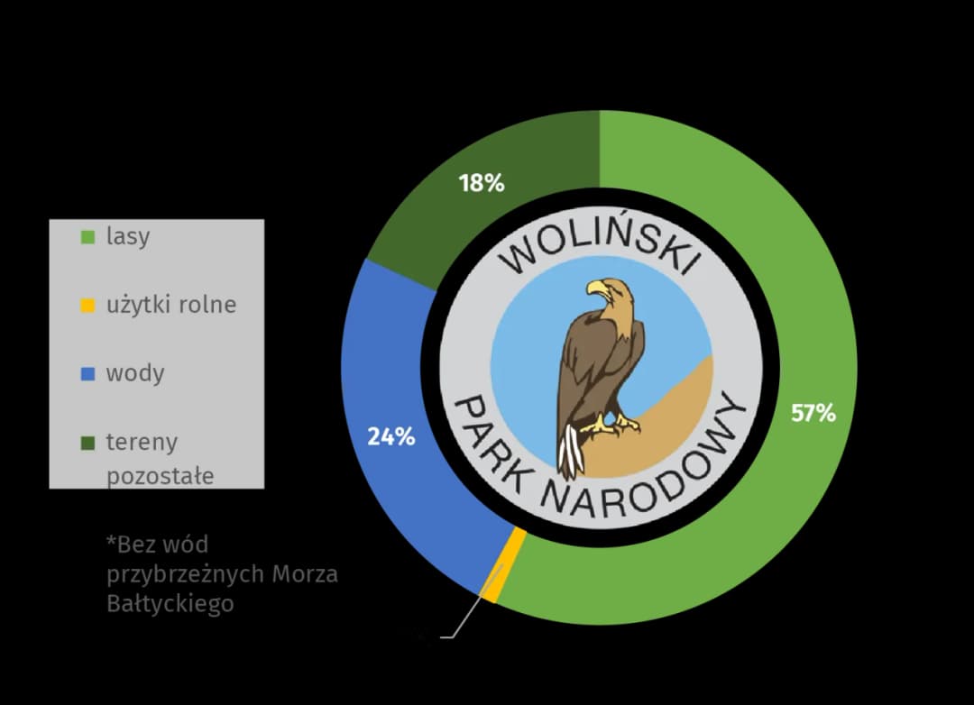 Co jest symbolem Wolińskiego Parku Narodowego? Poznaj orła bielika