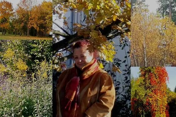 Kolory jesieni wiersz - odkryj piękno jesiennej poezji